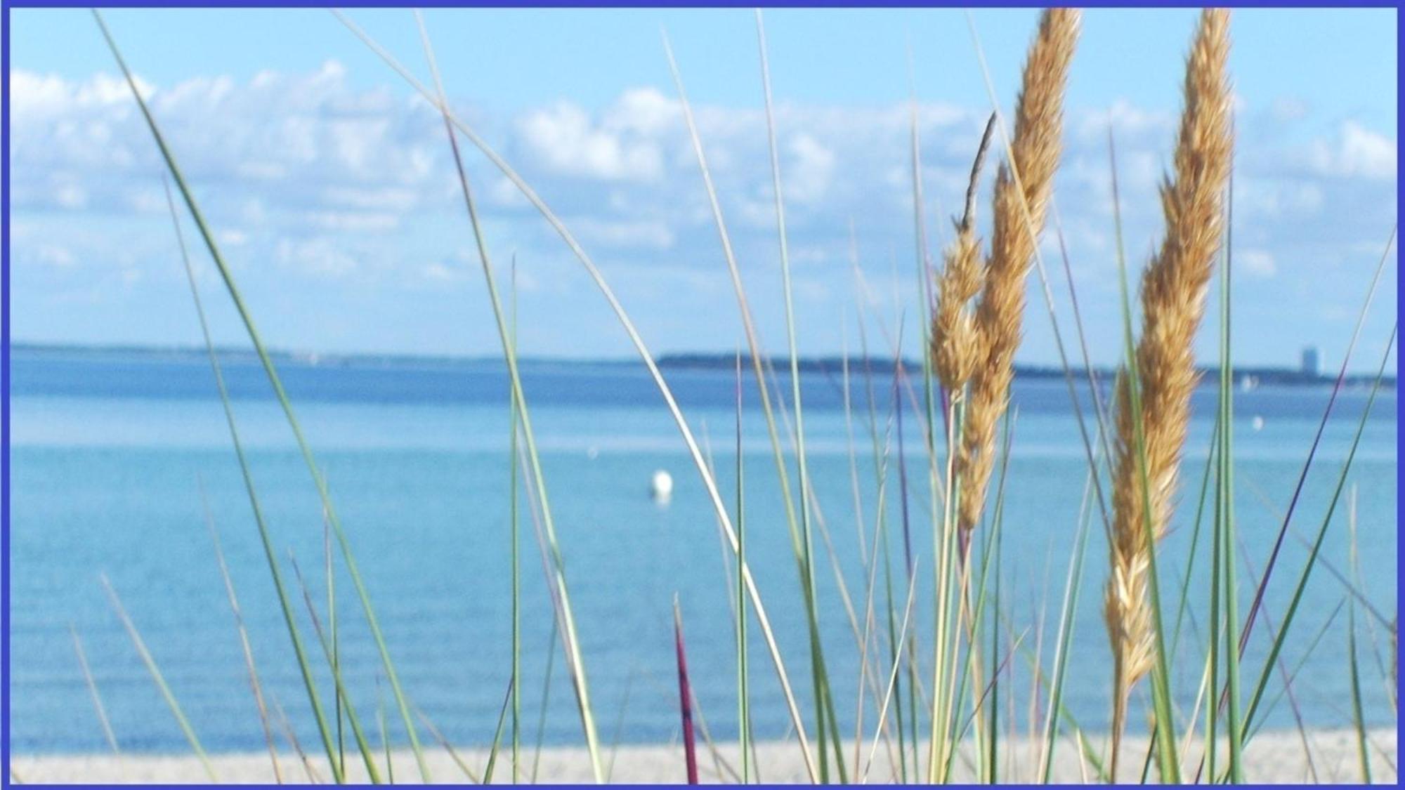 Bonna's Ostsee Oase - Haus Baltic - Whg 180 - Inkl gratis WLAN und Saisonstrandkorb Grömitz Exterior foto